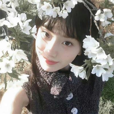 亲爱的总统夫人